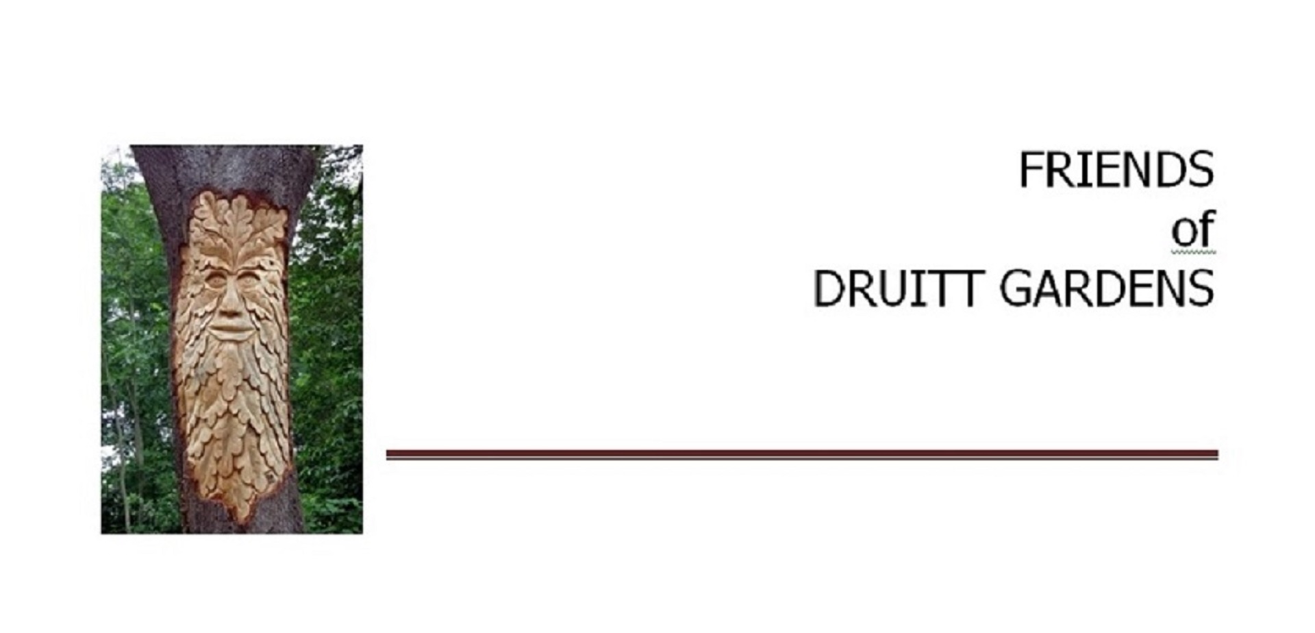 Friends of Druitt Gardens - Logo